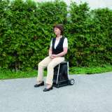 Sitz- und Transporthilfe CitySeat