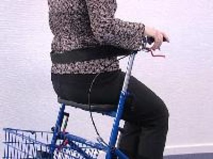 R�ckengurt Universal f�r Rollator