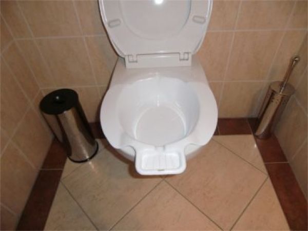 mobiles Ingbertson® Einsatz-Bidet für WC Kunststoff Toiletteneinsatz 